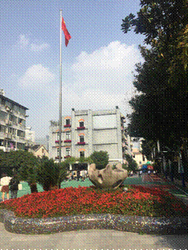 2019-10-30 09:05:17.329000